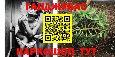 spice Краснознаменск