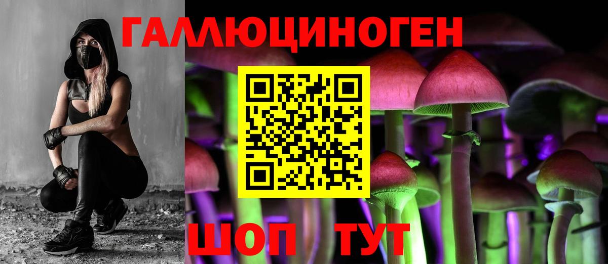 Галлюциногенные грибы Psilocybine cubensis  Псилоцибиновые грибы мухоморы  Среднеуральск  Вход с VPN 